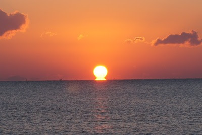 DSC05353