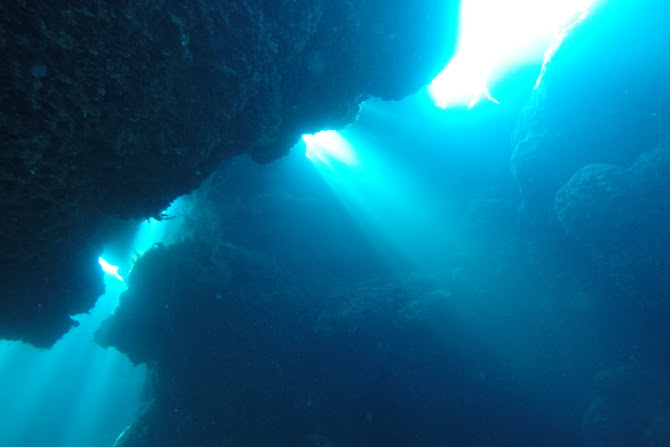 G1005053.JPG