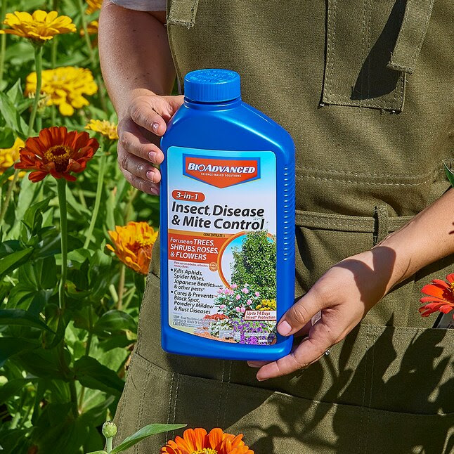 BioAdvanced 3-In-1 32-fl oz Concentrate Insect; Disease and ...
