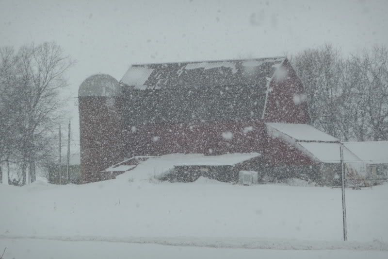 A White Christmas