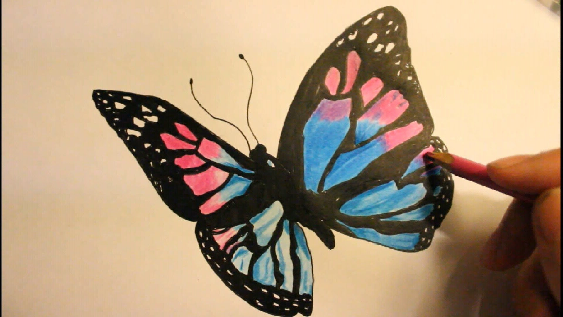 Butterfly Easy Drawing at GetDrawings | Free download 977x1024 simple butterfly drawings in pencil sketches of butterflies.