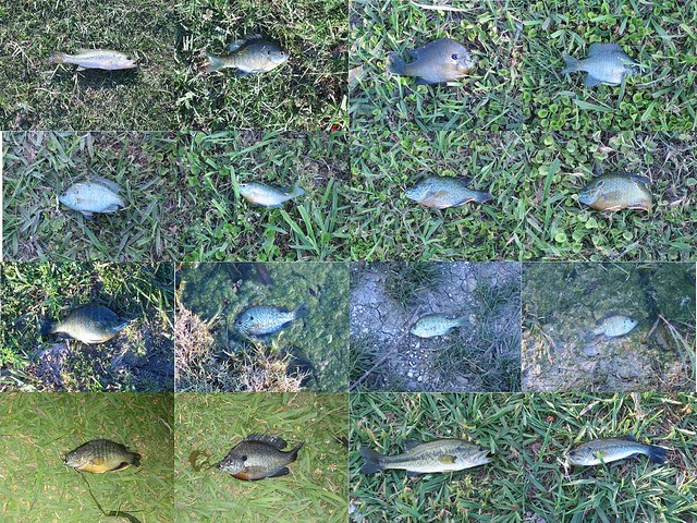 20110516