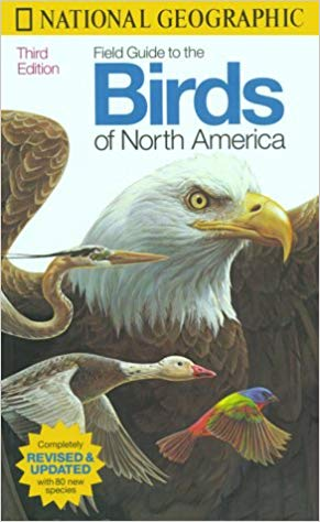 英語の野鳥図鑑の読み方 ３回目 サギコロニー 野鳥調査