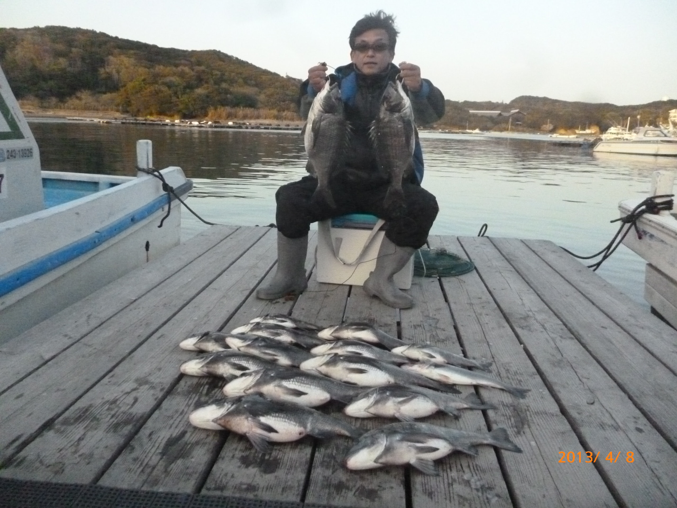 こじま年なし図鑑