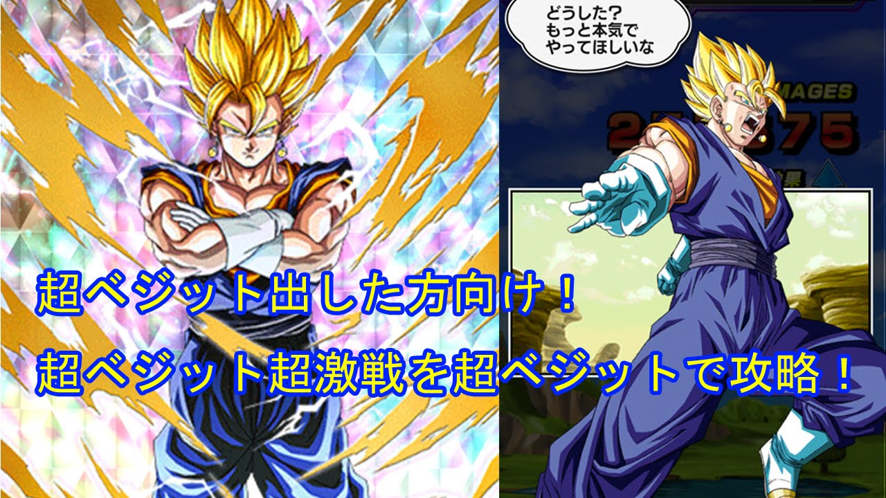 ベジットの画像 原寸画像検索
