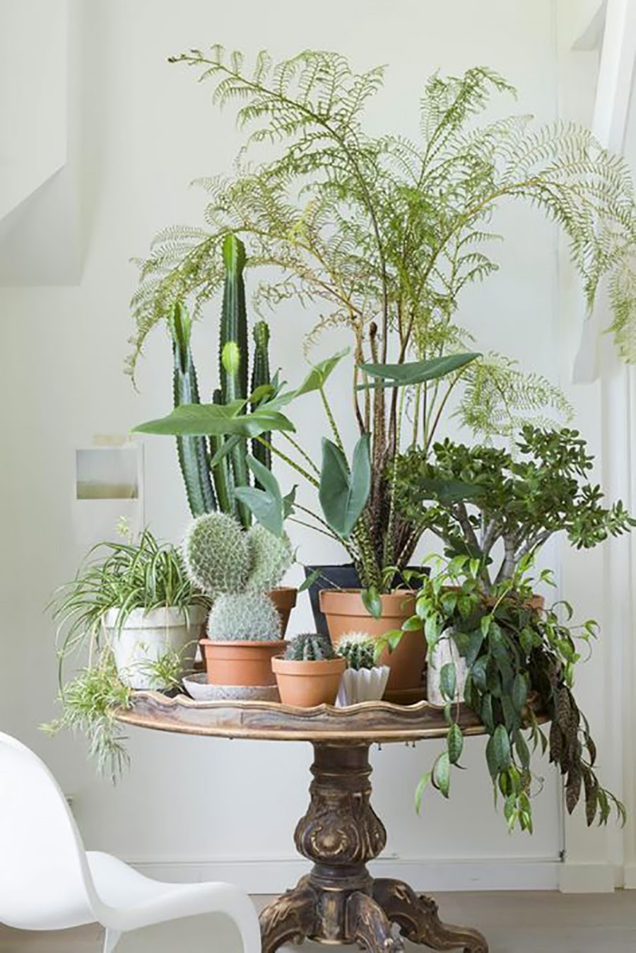 10 HAPPY LIVING ROOM IDEAS WITH PLANTS Modern Home Decor 10 HAPPY LIVING ROOM IDEAS WITH PLANTS Modern Home Decor