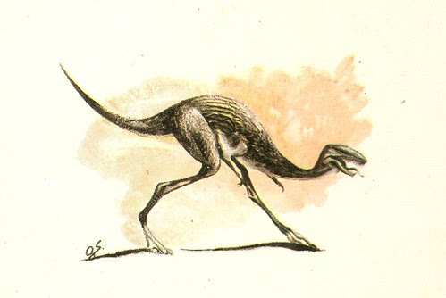 Compsognathus