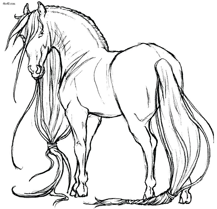 Horse Herd Coloring Pages at GetColorings.com | Free ...
