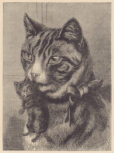 chats