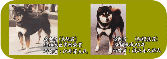 浜松春秋荘プロフィール