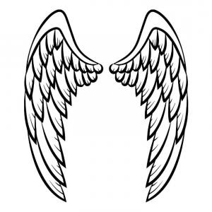 Download Curved Feather Drawing | Free download on ClipArtMag