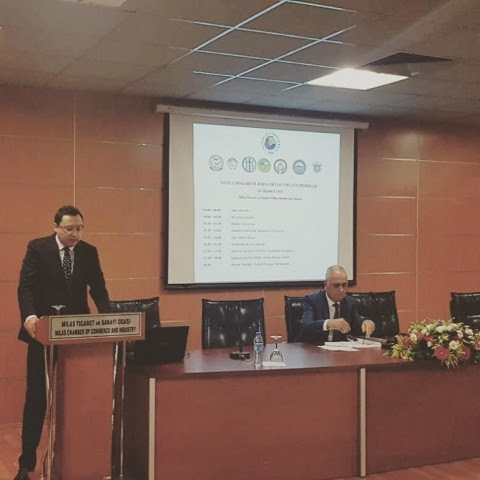 Bodrum ticaret odası üye sorgulama