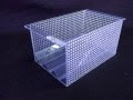 【ベストコレクション】 グッピー 産卵 箱 274937-グッピー 産卵 箱