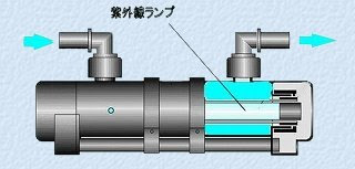 海水魚飼育のコツ 殺菌灯