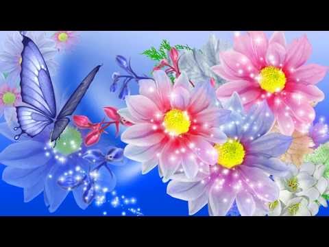 Full Hd Nature Wallpapers 1080p Desktop