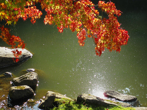 Linda Cobb, Family & Consumer Science, Shorecrest High School.