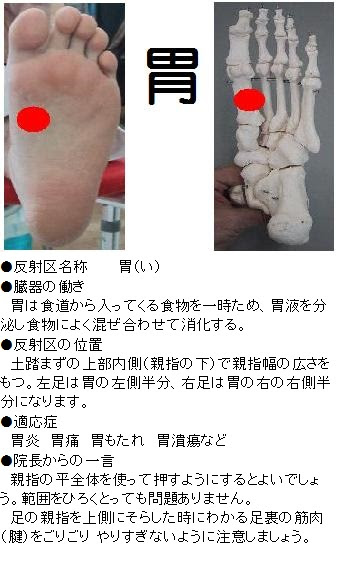 胃痛 胃潰瘍 食欲不振に効く反射区 足つぼ