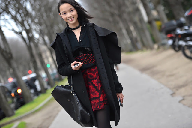 Неделя моды в Париже A/W 2014: street style. Часть V (фото 13)