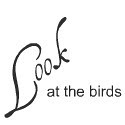look at the birds...