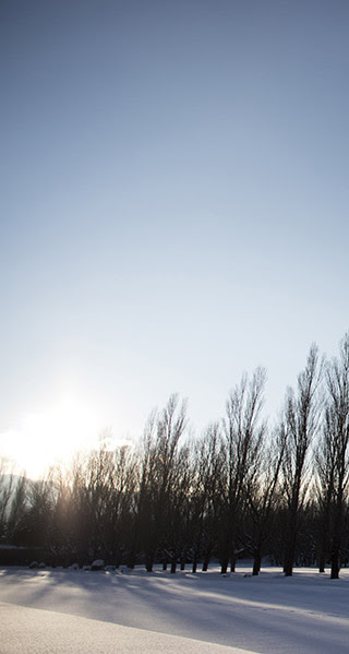 雪 無料スマホ壁紙 フォトック