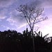 ATARDECER EN EL DOBLADILLO 1