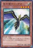 JOTL-JP009 Holy Lightning - Wings