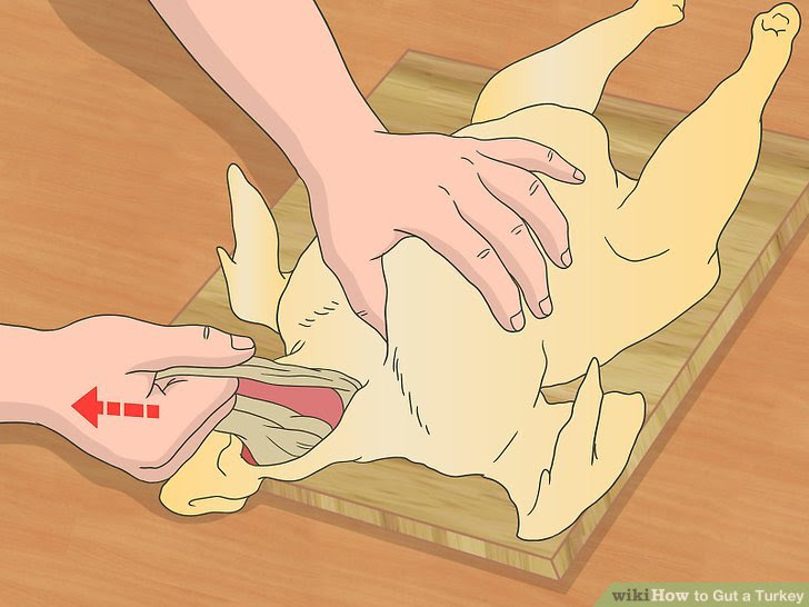Gut a Turkey Step 10.jpg