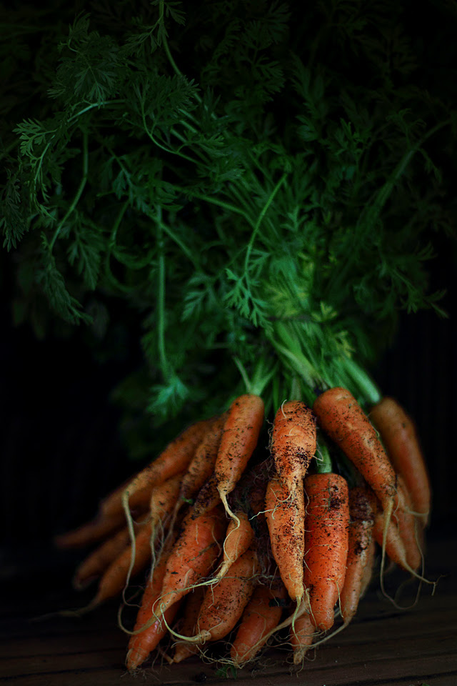 Carrots