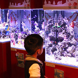 沖縄 水槽 お掃除メンテやレンタルは オーシャンズタンク 熱帯魚や海水魚は観光客や子供に大人気