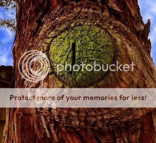 pokok pelik 8 [Gambar Pelik] Koleksi Gambar Pokok Pelik