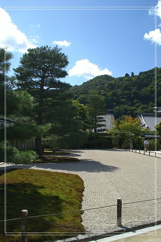 PICT7156.jpg