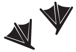 webbed-feet