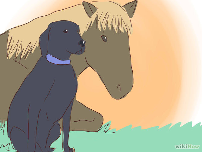 Run a Cattle Ranch Step 20.jpg