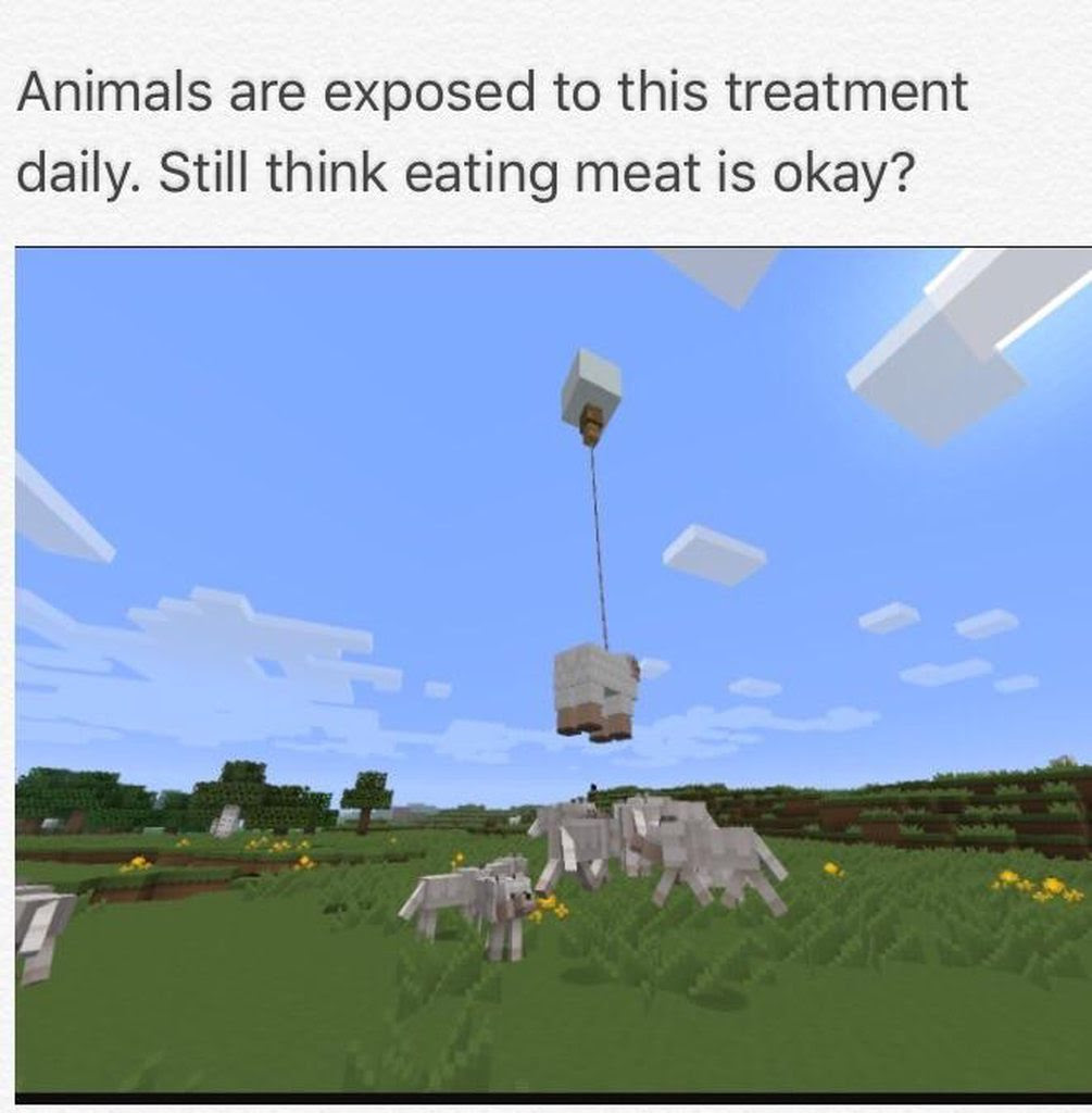 Animal treatment Minecraft memes still on big rise | Rebrn.com