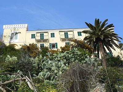 belle maison.jpg