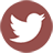  photo twitter_2.png