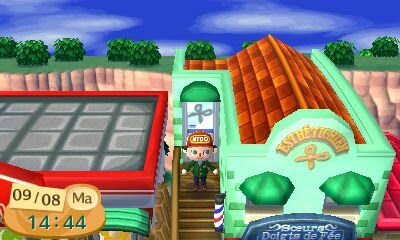 Animal Crossing New Leaf Astuces 3ds