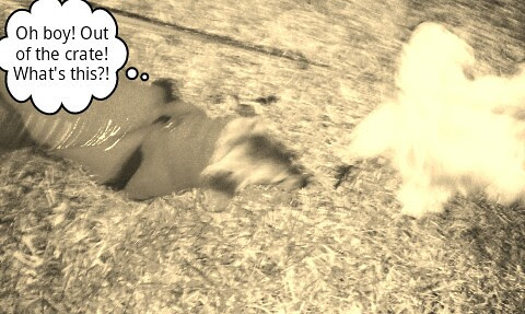 1292685556_picsay-1292685556.jpg
