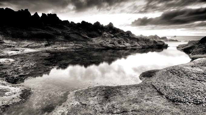 Black White Nature Wallpaper