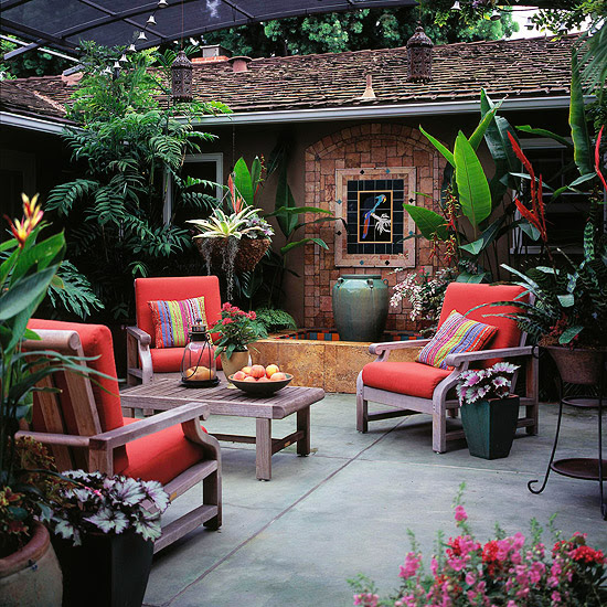 Head for the Tropics