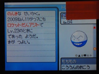 色マルマイン キラキラパウダー