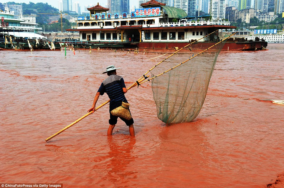 In the thick of it: A fisherman goes about his daily business