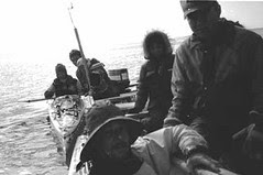 Lutinar Boat 1