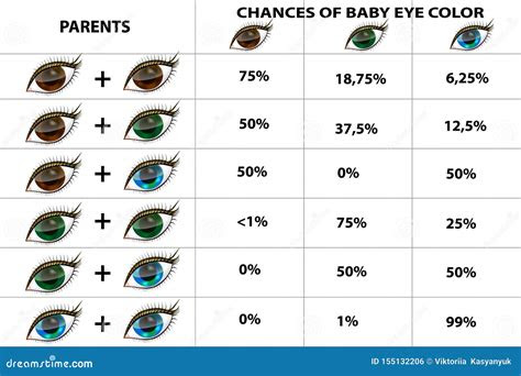  eye color chart genetics