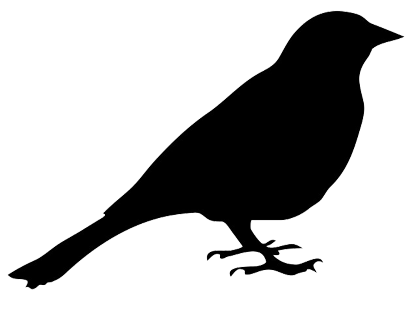 Download Free Bird Silhouette, Download Free Bird Silhouette png ...