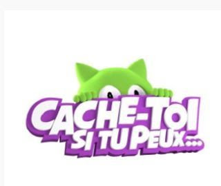 Un Numero Inedit De Cache Toi Si Tu Peux Avec Cecile De Menibus Le 16 Janvier Leblogtvnews