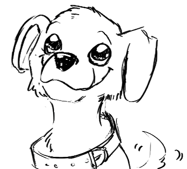 Tutoriel Les Expressions Faciales Animaux Le Blog De