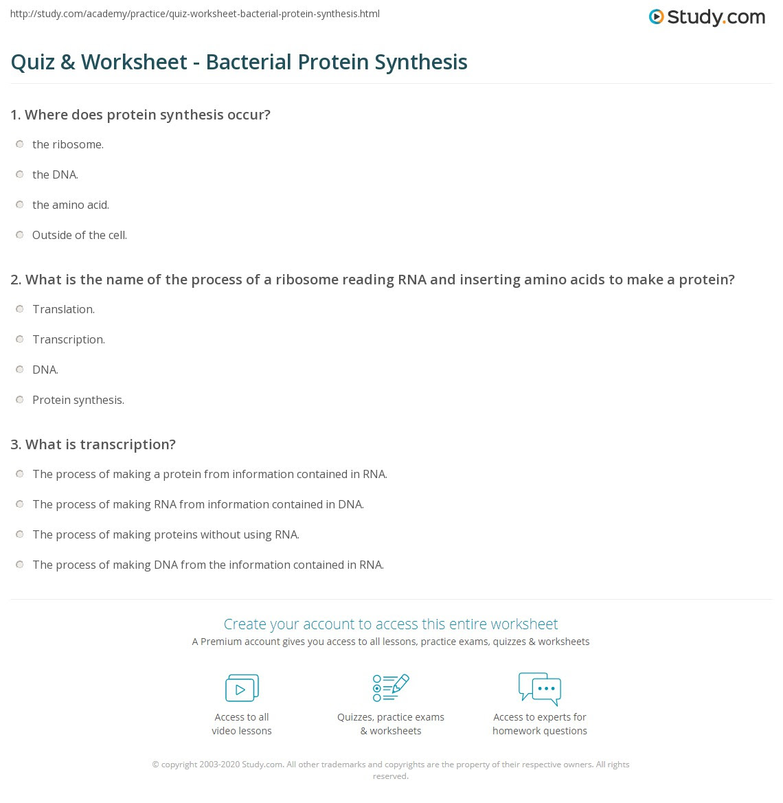 Quiz & Worksheet - Bacterial Protein Synthesis Study.com Quiz & Worksheet - Bacterial Protein Synthesis Study.com