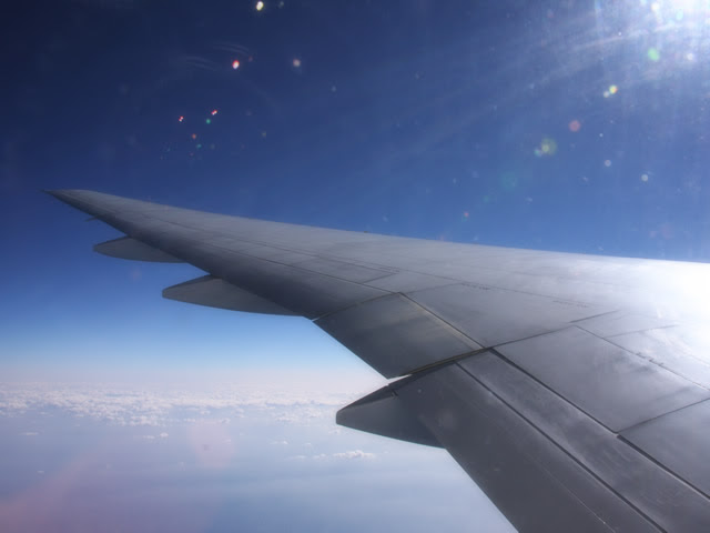 飛行機の翼