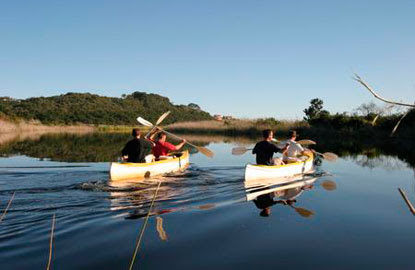 Road Trip of a Lifetime: South Africas Garden Route | Fodors